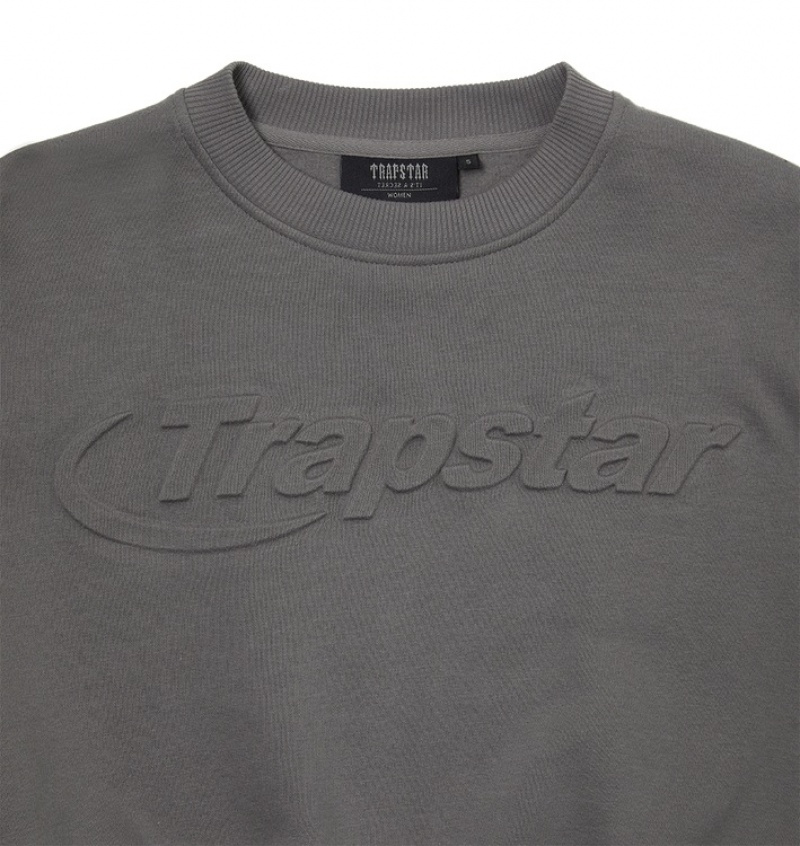 Trapstar Hyperdrive Crewneck Gensere Dame Grå | 37928YHMK