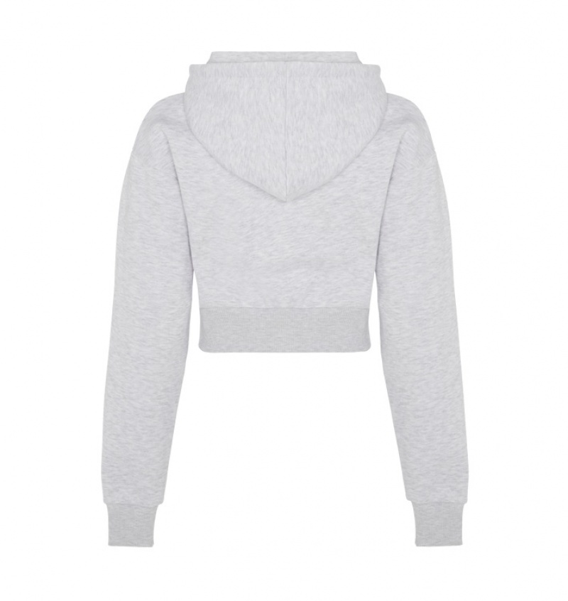 Trapstar Irongate Stud Cropped Hettegenser Dame Grå | 86402YBEZ