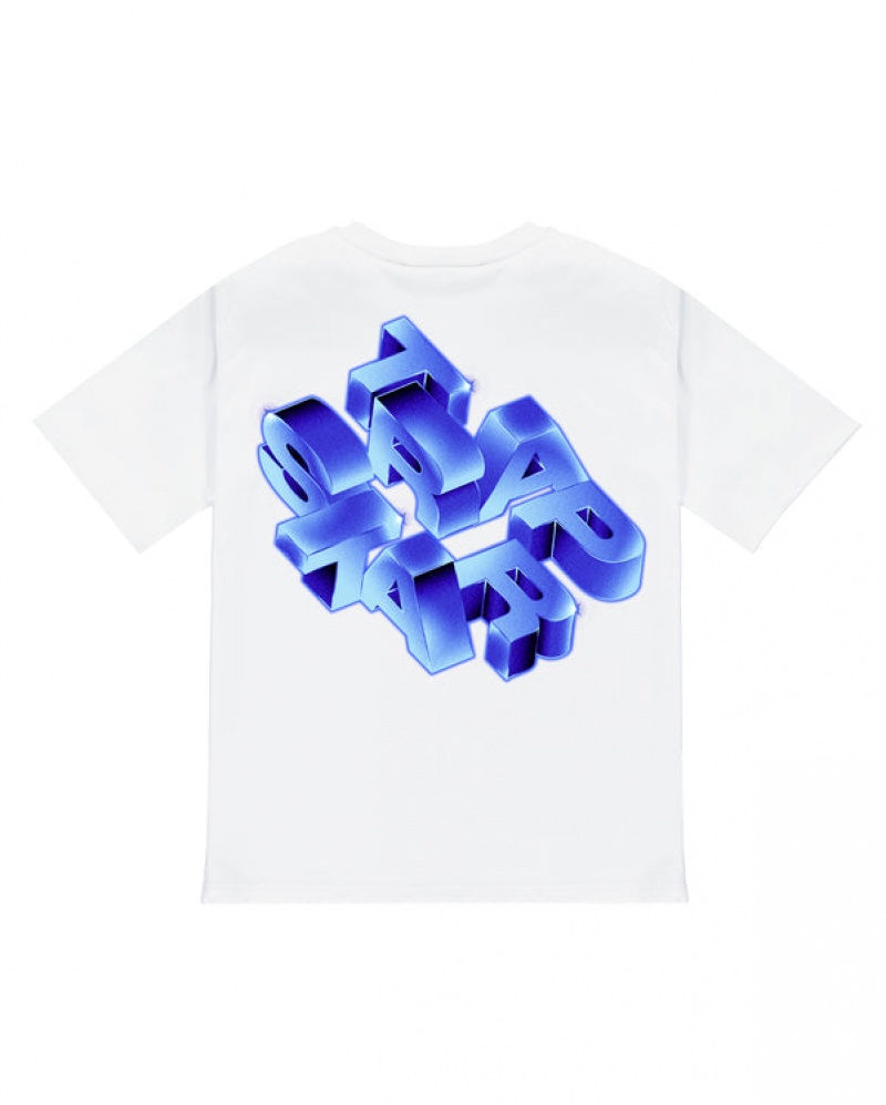 Trapstar TS Chrome T-skjorte Herre Hvite | 32941HQAX